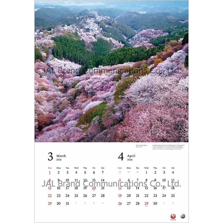 A WORLD OF BEAUTY 大型判(日本語版)2026