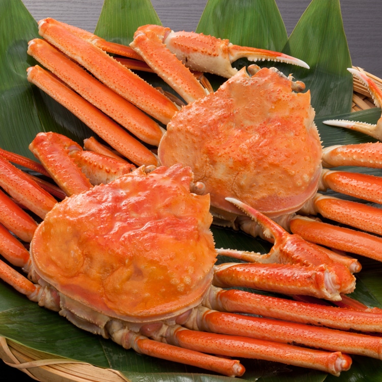 本ずわい蟹姿 たっぷり3kg