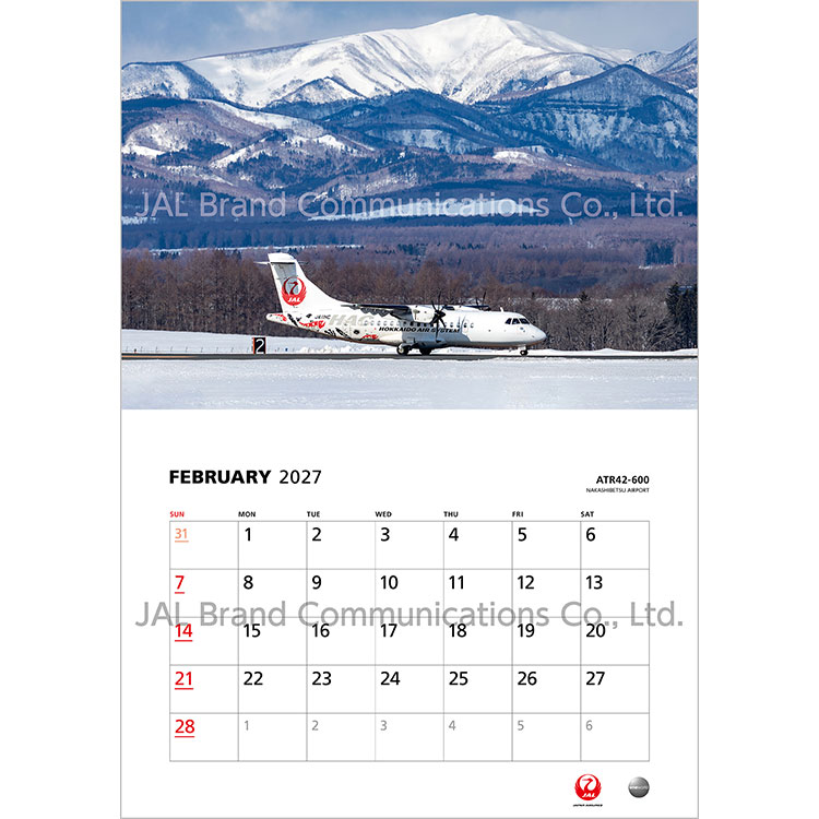 JAL FLEET 普通判(英語版)2027 FLEET 普通判(英語版)