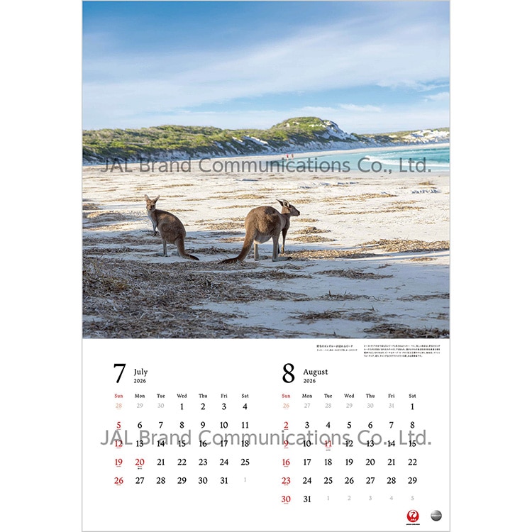 A WORLD OF BEAUTY 大型判(日本語版)2026