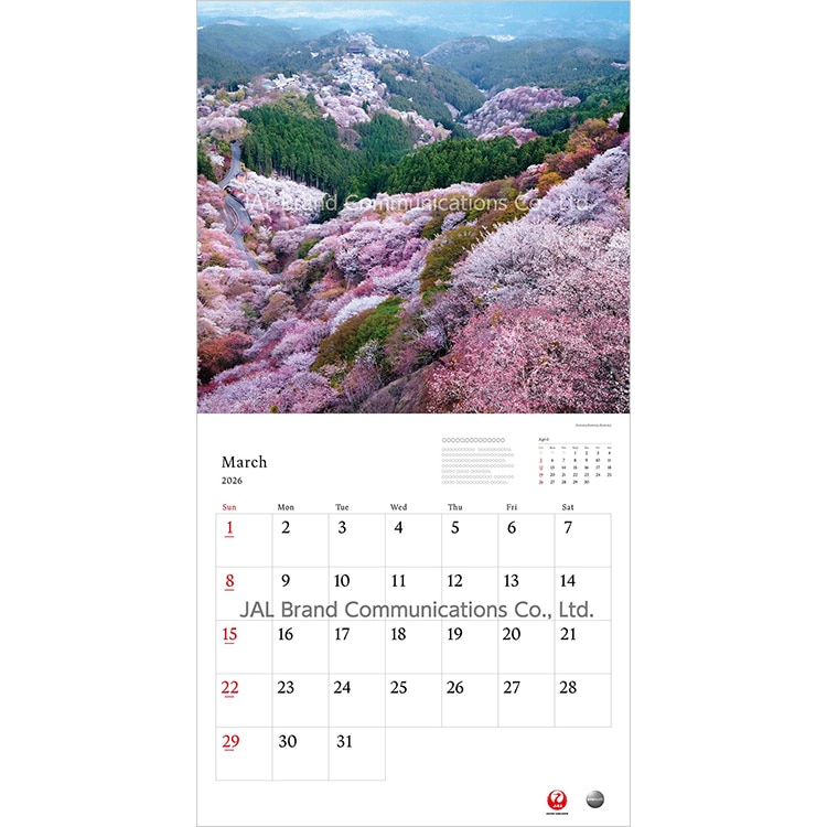 A WORLD OF BEAUTY 普通判(英語版)2026