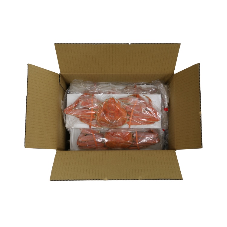 本ずわい蟹姿 たっぷり3kg