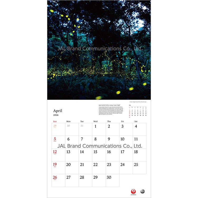 A WORLD OF BEAUTY 普通判(英語版)2026