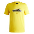 Medium Yellow