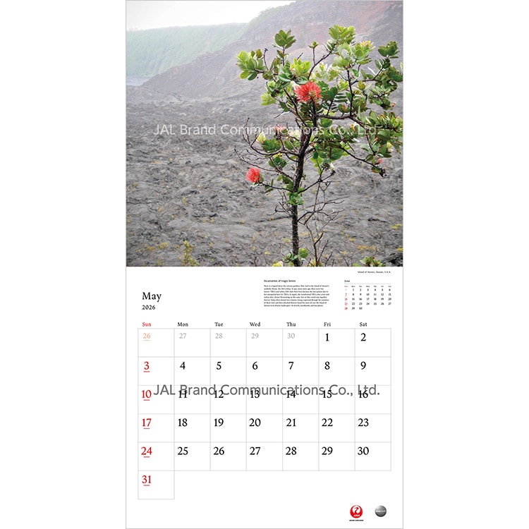 A WORLD OF BEAUTY 普通判(英語版)2026