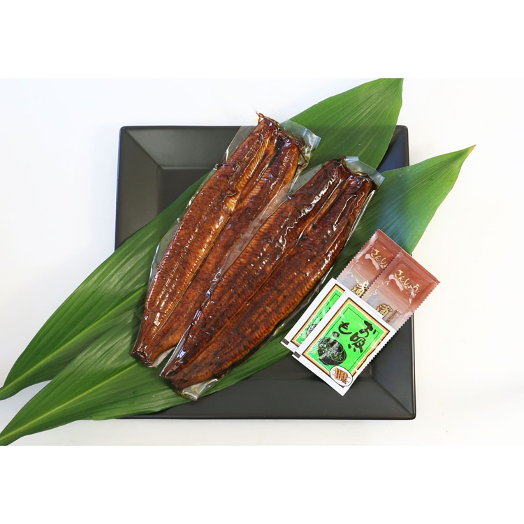 浜松・浜名湖うなぎ特大蒲焼2人前