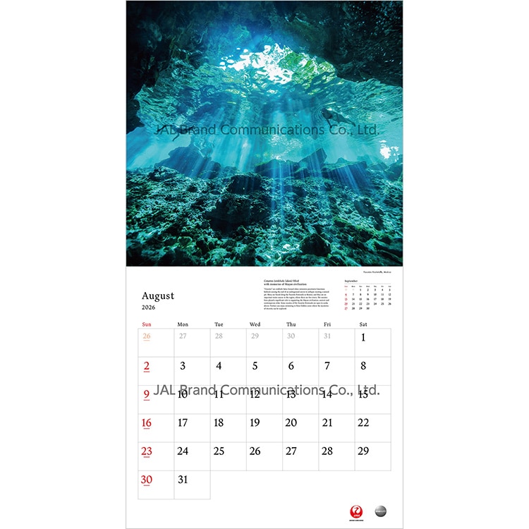 A WORLD OF BEAUTY 普通判(英語版)2026