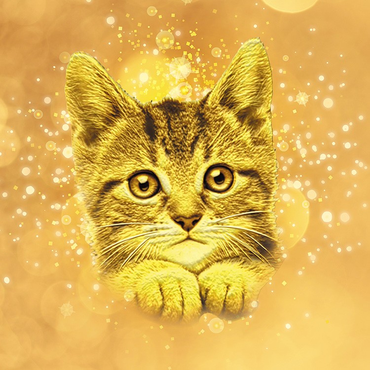 しあわせのShip's Cat純金コインペンダント