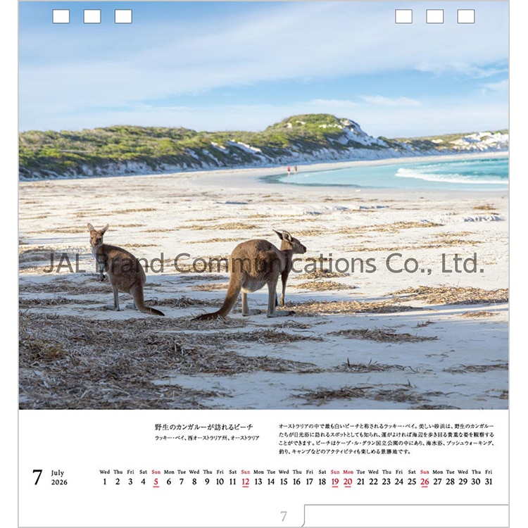 A WORLD OF BEAUTY 両面卓上判(日本語版)2026