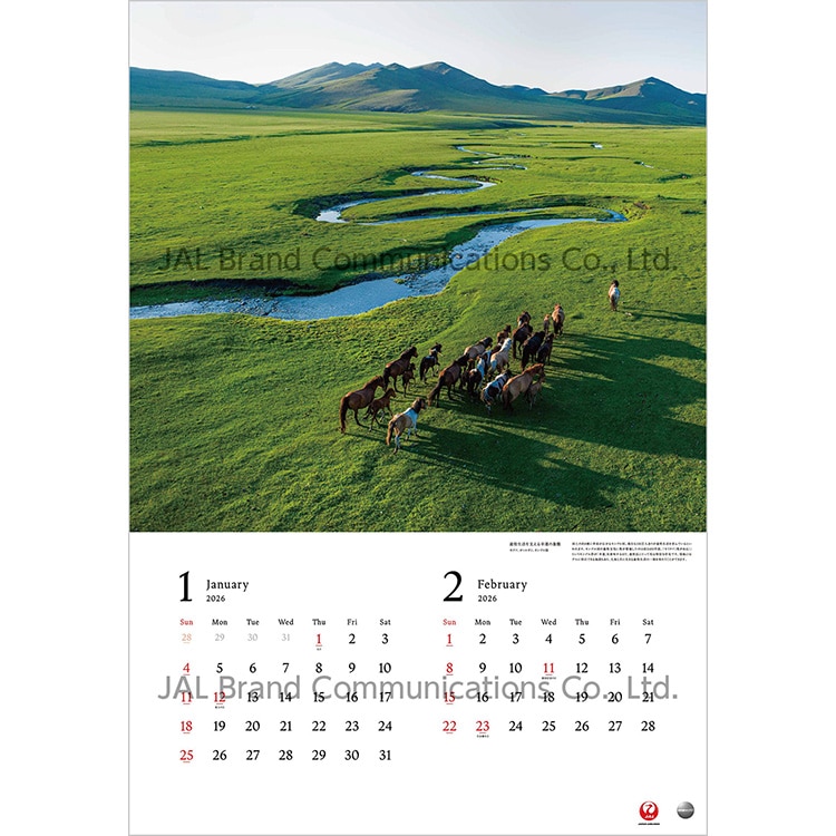 A WORLD OF BEAUTY 大型判(日本語版)2026