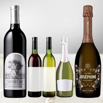 〔ワイン福袋〕国際線ファーストクラス採用銘柄シャンパーニュやシルヴァーオークが入った贅沢赤白泡5本セット