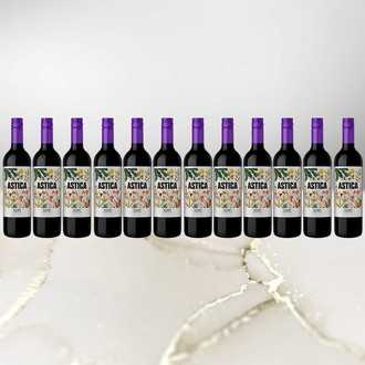 輸入箱でお届けのため特価[トラピチェ]アスティカ マルベック12本セット