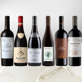 2026年サクラアワード金賞受賞赤ワイン 6本セット