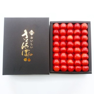 〔山形の農家の未来を考える協議会〕山形県産さくらんぼ 佐藤錦 （秀L300g×1箱）