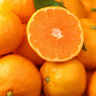 〔糖度12度選果〕わかやま情熱みかん 2kg並詰め