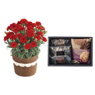 〔母の日〕カーネーションとホテルオークラ焼き菓子セット