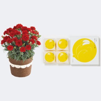 〔母の日〕カーネーションと月でひろった卵