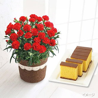 [母の日]カーネーション感謝の気持ち＆長崎かすてら