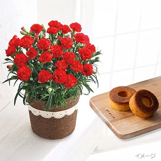 [母の日]カーネーション感謝の気持ち＆焦がしキャラメルがしみ込んだバーム