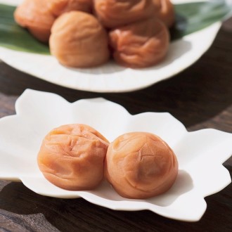 京都賀茂神社献上梅園「紀州薬師梅」賀茂乃御福