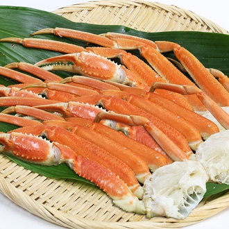 ずわい蟹肩脚 4肩