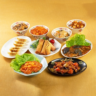 [大龍]中華バラエティ（9種13品）