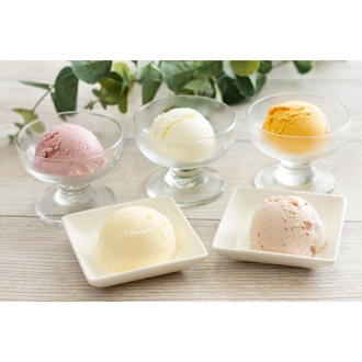 [乳蔵]北海道アイスクリーム5種5個