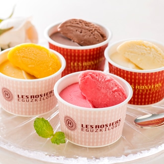 [銀座京橋 レ ロジェ エギュスキロール]銀座アイスバラエティ