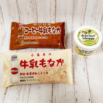 希少な果実アイス＆懐かしいモナカSET（果実アイス：12個、もなかアイス：各2個 計16個入り）