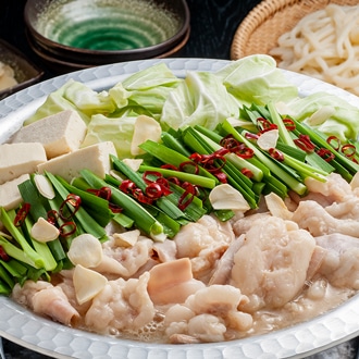 [京料理ふじ田]京のもつ鍋 白みそ仕立て