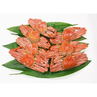 本ずわい蟹姿 たっぷり3kg