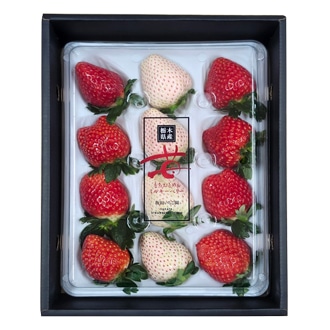 栃木県産とちおとめ＆ミルキーベリー詰め合わせ