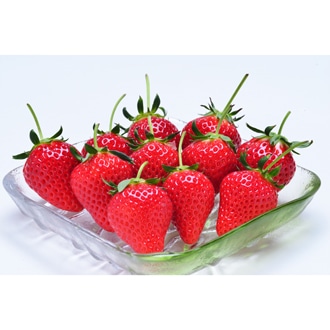 [香川/KOKOROグループ]軸付き女峰いちご 1.0kg
