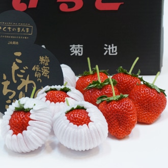 熊本県産 糖蜜使用のこだわりいちご