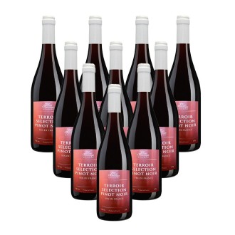 [ジャン・ジャック・ドミニク]ピノ・ノワール テロワール・セレクション 10本セット