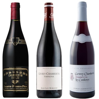 グラン・クリュ入り！銘醸地ジュヴレ・シャンベルタン飲み比べ3本セット