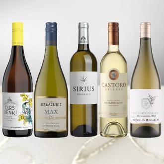 とにかくソーヴィニョン・ブランが飲みたい！辛口白ワイン5本セット