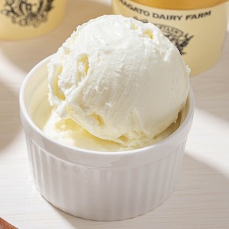 〔食品ロス・食べて応援〕長門牧場 アイスクリーム10個セット