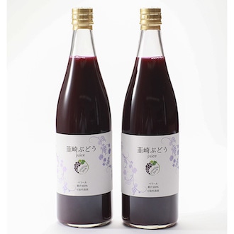 山梨 超完熟ぶどうジュース2本セット