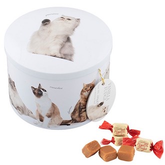 バニラファッジ（キャット缶）