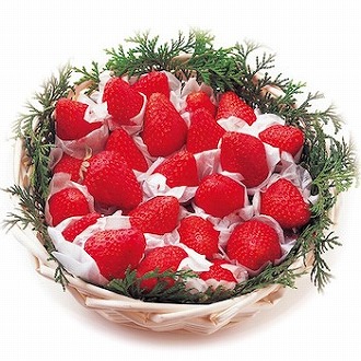 紅ほっぺ（カゴ盛り）750g