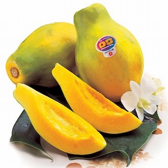 [ダイヤモンドスター]ハワイ産パパイヤ（レギュラー）