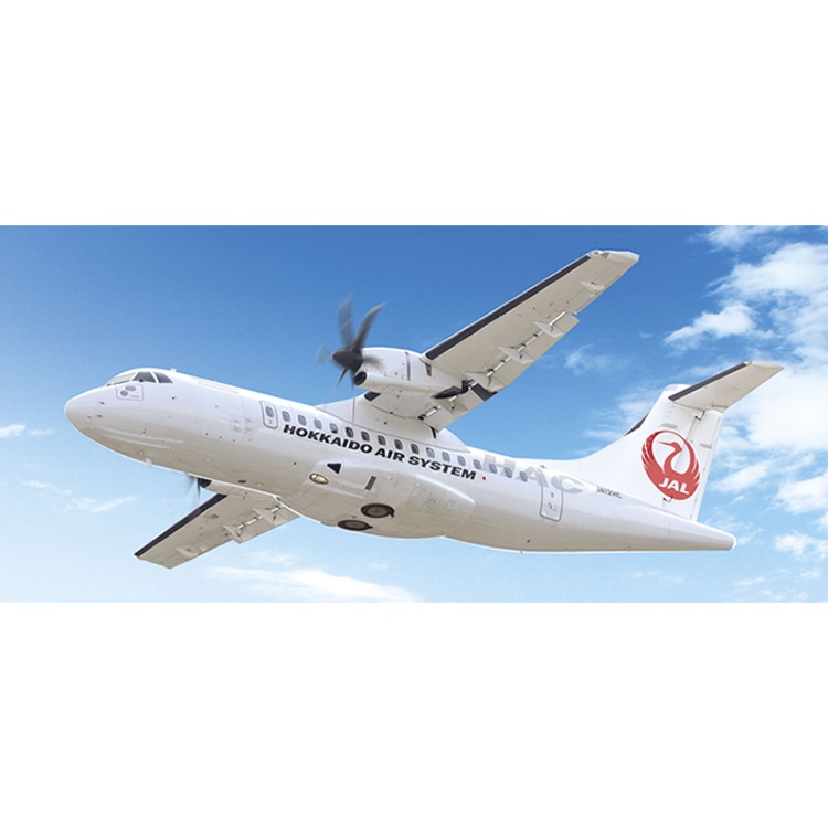 値下げ】 北海道エアシステム 雪ミク 初音ミク ATR-42 1/100 プレーン 