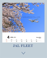 JAL FREET/JAL フリート