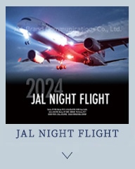 JAL NIGHT FLIGHT