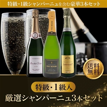 特級・１級入　厳選シャンパーニュ3本セット
