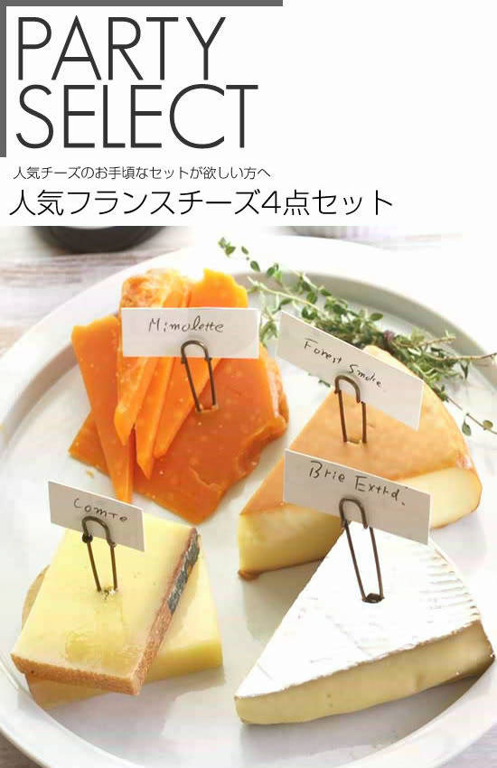 【パーティーセレクト】人気フランスチーズ4点セット