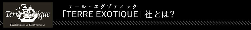 テール・エグゾティック社とは?