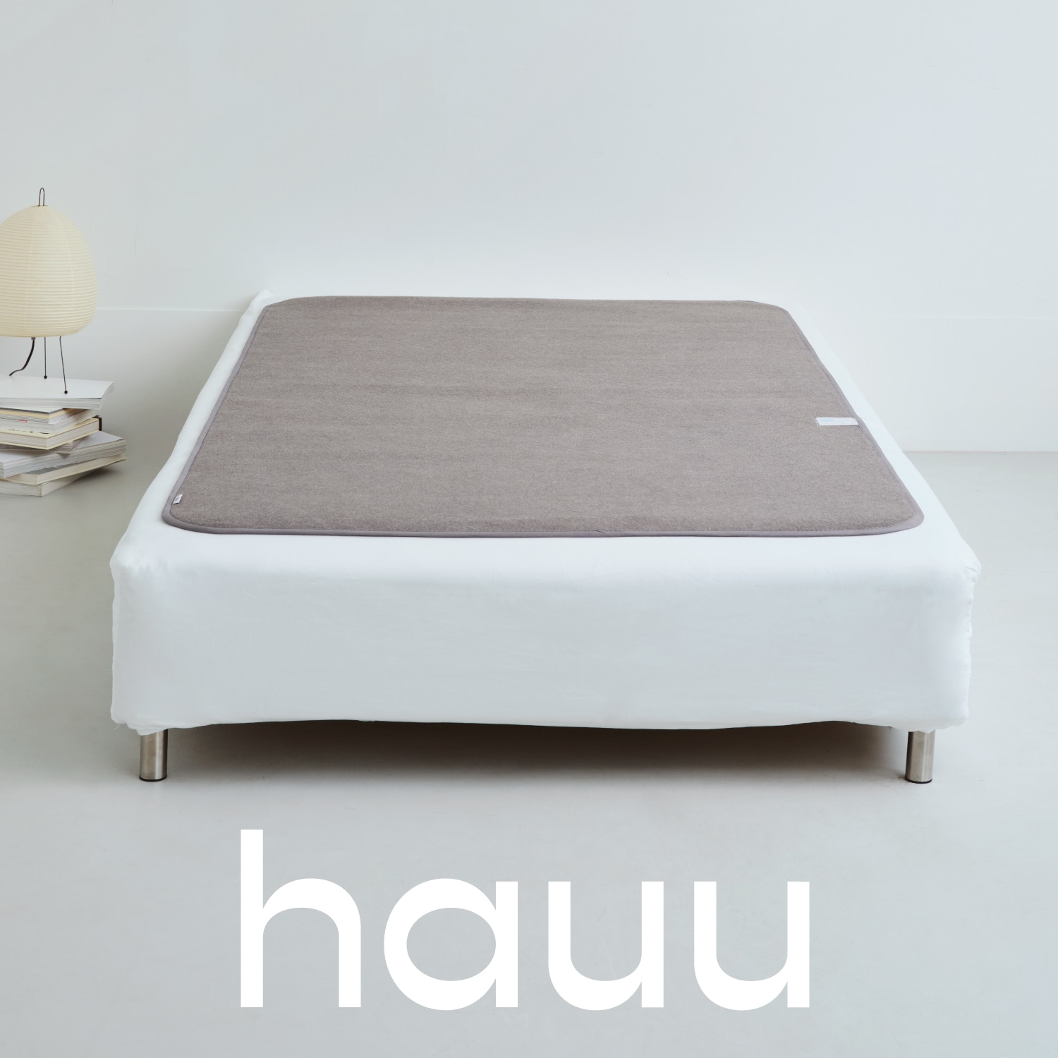 nishikawa[西川]hauu 除湿シート2点セット シングル 送料込み