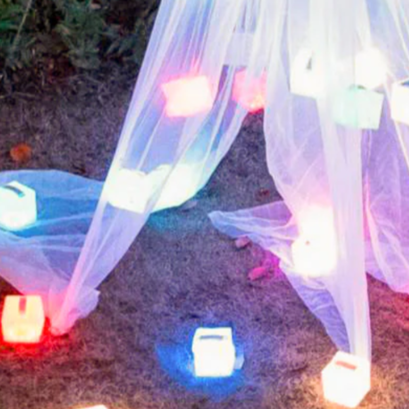 CARRY THE SUN キャリー ザ サン レインボー ミディアム CTSR-M レインボー ミディアム